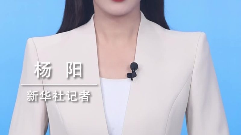 上海数据服务公司运维托管：揭秘企业数据安全的守护者